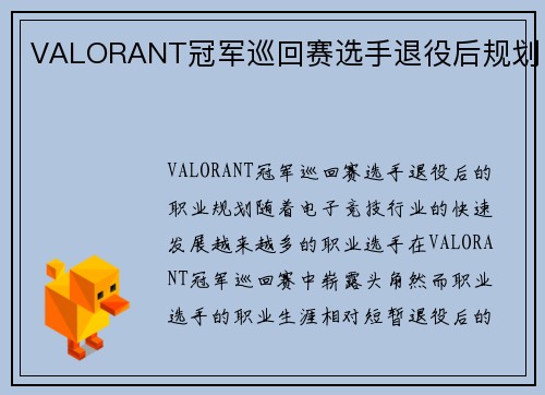 VALORANT冠军巡回赛选手退役后规划